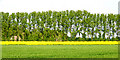 Farmland near East Hendred