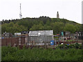 Allotment gardens on the Law