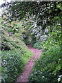 Public Bridleway towards Cladswell and Knowle Fields.