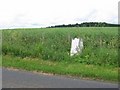 Trig point, Wester Softlaw.