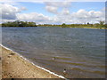 Hornsea Mere from Kirkholme Nab