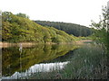 Llyn Carreg Wen, near Porthmadog