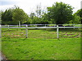 The Turf Maze at Wing, Rutland