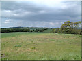 Farmland to the West of Bispham Hall - Billinge