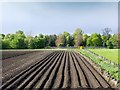 Ploughed Fields