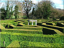 SO5517 : The Amazing Hedge Puzzle, Jubilee Park, Symonds Yat by William J Bagshaw