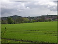 Farmland to the north of Dundee