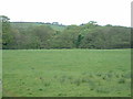 Farmland, looking towards Curwen Wood, near Garstang