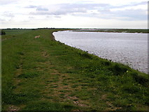TA1824 : New River Humber Defences by Andy Beecroft
