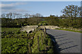 Bridge near Mid Beltie