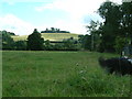 View of Wittenham Clumps