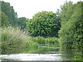 The River Itchen at Bishopstoke