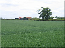 SP3661 : Harbury Fields by David Stowell