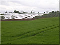 East Scryne  farm near East Haven