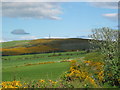 View towards Brimmond Hill