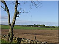 Harecairn transmitter from East Bankhead