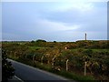 Fort Cumberland