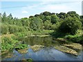 Figheldean, River Avon