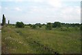 Old colliery site, Warsop