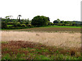 S7322 : Farmland and Countryside by Pam Brophy