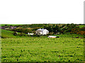 S8207 : Farm at Bannow Bay by Pam Brophy
