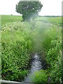 Brook near Cambray Farm