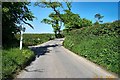 Country road - Devon