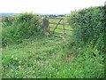 Gate, Acomb Fell