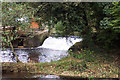 Weir above Weycroft Mill