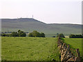 Craigowl Hill from North Mains of Baldovan