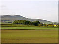 Craigowl from near South Fallaws