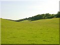 TQ8955 : Downland Meadow near Wrinsted Court by Penny Mayes