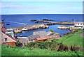 The harbour, St. Abbs