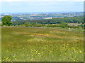 View towards Barnsley from top of Thurgoland