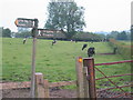 Footpath - part of the Delamere Way long distance footpath