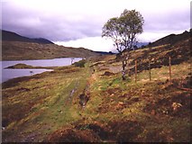NN2141 : Loch Dochard by Dave Stamp