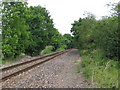 Railway Line near Crampmoor