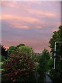 Evening Sky over Nuthall