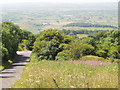 Above Westbury-sub-Mendip, Somerset