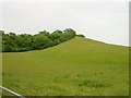 North Downs below Coldblow