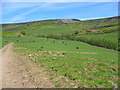 View of Whitestone Scar