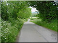 The road to Stoneyford Lodge