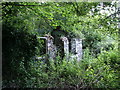 Ruined cottage, Rhyd-y-gwin