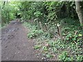 Old Railway Footpath