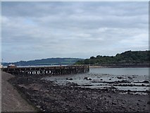 NT1382 : East Ness Pier at Inverkeithing by Bob Jones