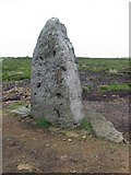 NZ6901 : Standing Stone on the North York's Moors by Martin Norman
