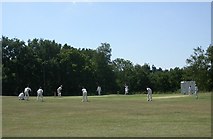 SU8939 : Thursley Cricket Pitch by Ben Gamble