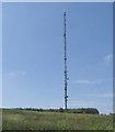 Carmel Transmitter