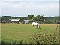 Alderbourne Farm near Fulmer