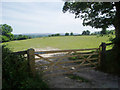 Views to the South Downs from the Weald